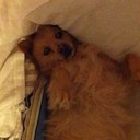 Mitchell McCabe - @McCabee10 - Twitter