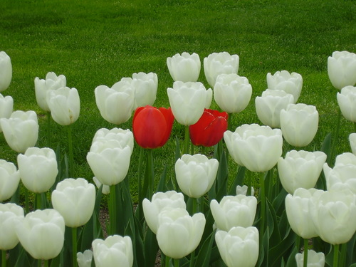 Thais87's profile picture. 