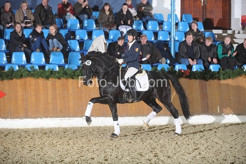 Dressage rider! 23 years old