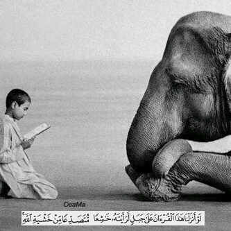 استغفرالله وأتوب إليه، تم لطش الحساب.