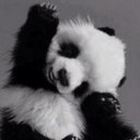 Lisa Mannix - @lisamannix - Twitter