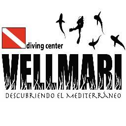 VELLMARI no es sólo un centro de buceo, es un centro de interpretación marino con una larga e intensa experiencia en imagen submarina y Biologia Marina