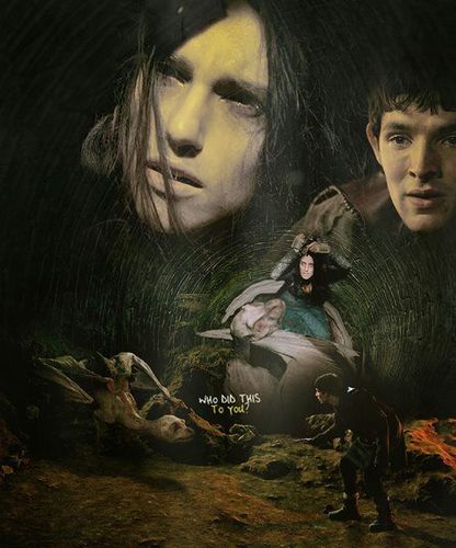 ouzeau61's profile picture. 