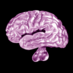 neurobollocks (@neurobollocks) Twitter profile photo neurobollocks (@neurobollocks) Twitter profile photo