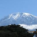 whitney vincent - @whitneykaratta - Twitter