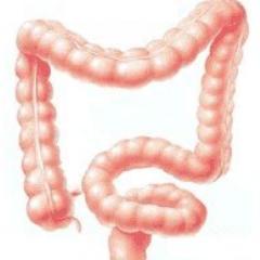 tweets over maag-, darm- en leverziekten | gastroenterologie | hepatologie | IBD | darmkanker