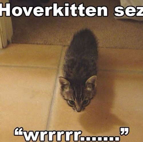 Jencat39's profile picture. 