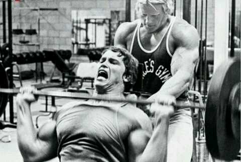 Amante del Fitness y el Deporte en general. Cada paso firme , es un paso mas hacia la victoria