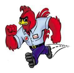 ScavengrRooster's profile picture. New Gaming Company