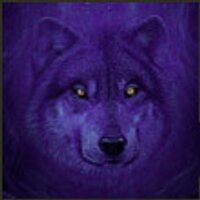 ynykocih (@ynykocih) 's Twitter Profile