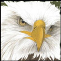 ilafowur (@ilafowur) 's Twitter Profile