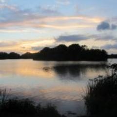 BobCuffy's profile picture. Carpaholic