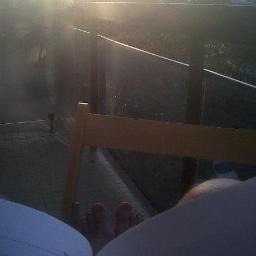 OmarTounsi's profile picture. Réformiste, régionaliste, capitaliste, égoïste et têtu