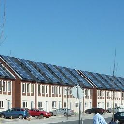 Aaltjeth's profile picture. een groene idealist,