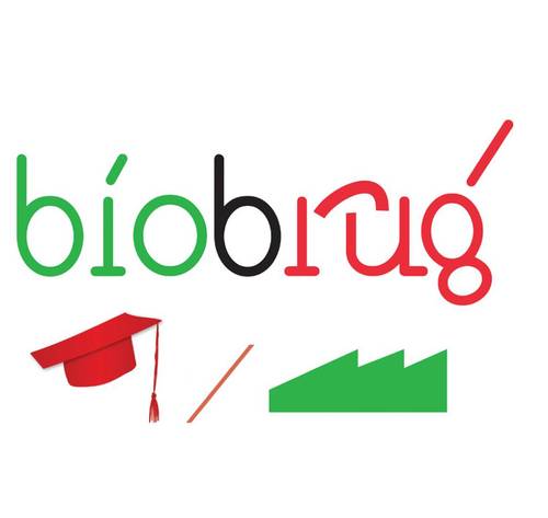 BioBrug: koppeling van innovatievragen uit het bedrijfsleven aan universitaire kennis en kunde op het gebied van de BioBased Economy