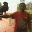 elangpersada_n's profile image