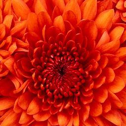 Isa7337's profile picture. 