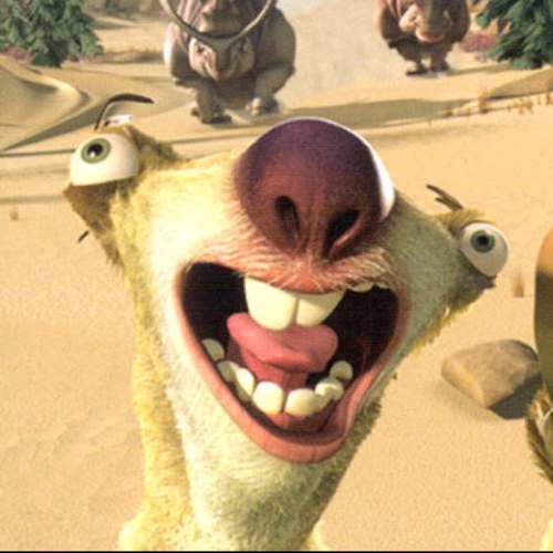 #sloths #ganja #weed #entertainment #funny #teamfollowback #f4f