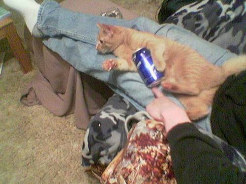 edge128's profile picture. 