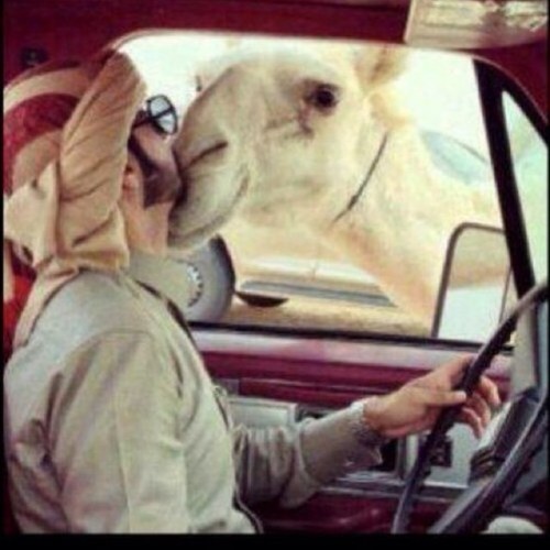 ‏‏‏الحب تدري ماهو بيدي سيدك تراه الهوا وسيدي