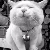 Natalia Farquhar (@youcrazyguy) Twitter profile photo