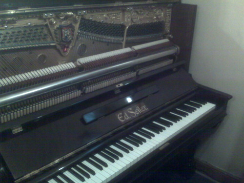 sesog's profile picture. Da más vida la muerte menos temida (Del escudo de armas de Pedro de Valdivia)