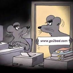 alhrbyuo's profile picture. 