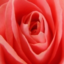 jhell (@01040312078) Twitter