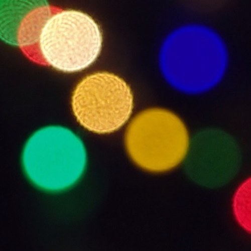 quercuslobata's profile picture. 