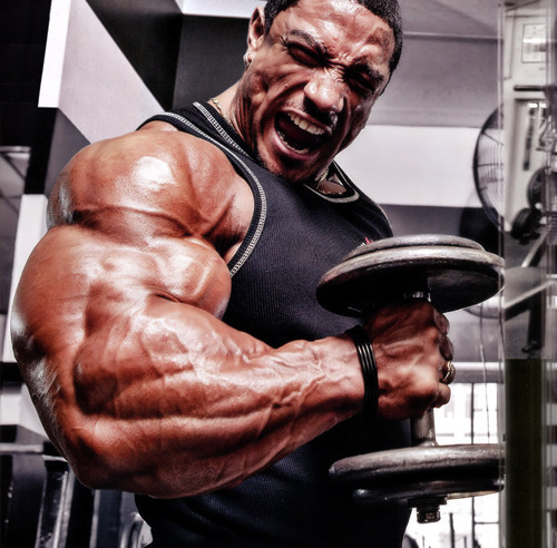 Offer advice on training, juicing, nutrition, the lot. Contact me on juiceheadprobz@gmail.com