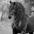 Milleryf72's profile image