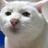 nikitaog36's profile image