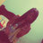 Jenniferjf48's profile image