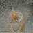 Barbaraat75's profile image