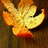 annaws16's profile image