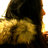 Sandrawg26's profile image