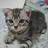 he8089819fp4961's profile image