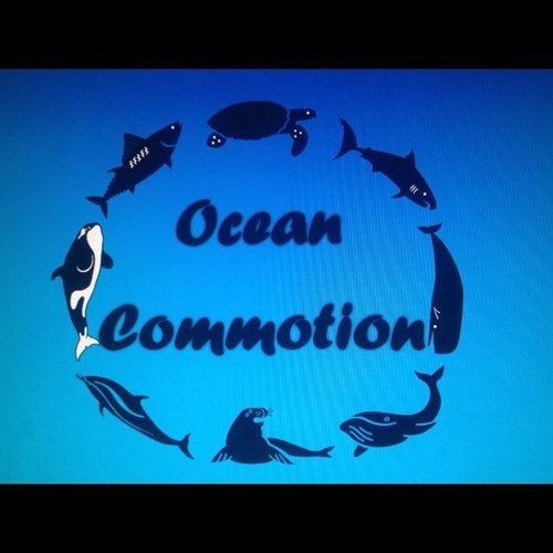 Commotion Deutsch Commotion Deutsch