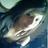 Sharongh07's profile image