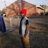 baranovpu55's profile image