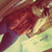 Jenniferyw66's profile image