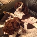 Elliott Dunn - @ellze1991 - Twitter