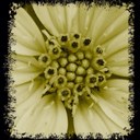 Martha Seng Ang - @crossjourneys - Twitter