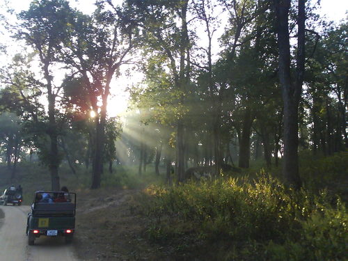 anshwill's profile picture. 