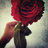 Barbaravl55's profile image