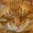 Deborahtl86's profile image