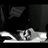 Kevinzk75's profile image
