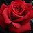 nataliqr23's profile image