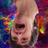 kozlovbn92's profile image