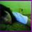 elenakx00's profile image